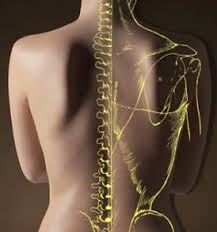 Pembroke Pines Chiropractor