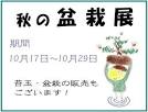 「盆栽茶館ぼのぼの」にお集まり