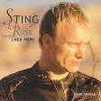 CD cover for 'Desert Rose' maxi single, which includes a Sting duet with ... - 2000-desert-rose-single-70