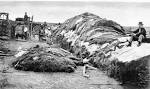Dodge City, Kansas History: Dodge City, the Cowboy Capital: KS ...