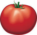 tomato: Definition from Answers.