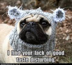 http://t1.gstatic.com/images?q=tbn:ANd9GcQdsKtB0abvhcLQrRjw6MWr2F5Vc65z3dJ2AehVcKiIMibsTHbP