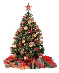 مجموعة صور لأجمل ـشجرة عيد الميلاد - صفحة 6 Images?q=tbn:ANd9GcQdxazeKujSO3pBsTcGOIQCFsF2iDYiV6INudCB2phtHfl_Jim0kw