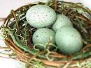  Roth IRA Limits of Opening a Roth IRA Account