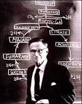 Sir Hans Adolf Krebs (1900–81), pioneer of modern medicine ...