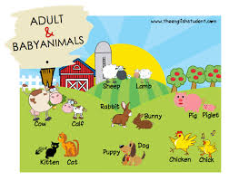 Image result for baby animals and names