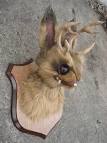 Jackalope sculpt by ~missmonster on deviantART