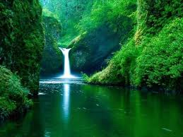 ������ ����� images?q=tbn:ANd9GcQerlHGS4sFwCFn6NV9o4gfVj7yv_exHc_eVPOYFrcTauhTtcxJGg