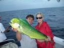 DORADO Fishing Charters, GRAND ISLE, PORT FOURCHON, VENICE ...