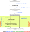 Corticosteroid - Wikipedia, the free encyclopedia