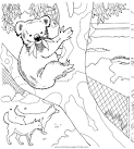 Koala coloring page