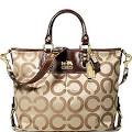 http://www.coachbag-supplier.com/images/Coach%2520Crossbody%2520Bags/30.jpg