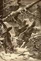 Extinct Animals Gallery