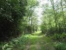 TQ6336 : Track in Jews Wood. near to Bells Yew Green, East Sussex, - via Daymix