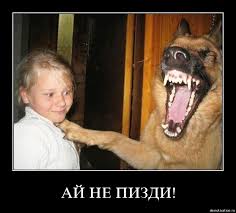 images?q=tbn:ANd9GcQfqUE-d6F8ZWtqbdXz1LBQyZEtwNQzIadPpHAx7_7j8vQMzsfV