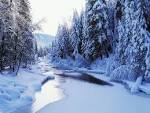Fonds d��cran NEIGE - Page 4