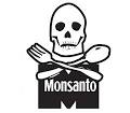 Whistleblower: MONSANTO Wants to Kill The Bees To Make Way For Its ...