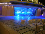 DSCN0232_Shark_Tank.JPG