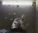 butterfly effect - via Daymix