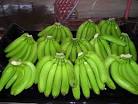 Fresh Dark Green Delmonte/Dole Cavendish Bananas Available for ...