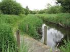 from this channel having - via Daymix