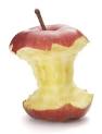 Bite Size Learning, Learning Bites, Short Courses