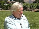 YouTube - Fess Parker