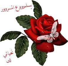 الكيكة الاسفنجية من مطبخ ام احمد Images?q=tbn:ANd9GcQhG-FCYq0w0N_X2kFFcJWfkBmi7ndBhYBFtQu_DQ6LQbqflo_j