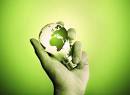 The Importance of the Going Green Ideas | Speed Up Your Life