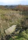 Civilization, near the A35. Looking over Bridport from Eype Down - via Daymix