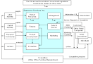 Business Process Trends :: Glossary ::