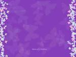 Purple Pictures and Wallpapers | 2733 Items | Page 4 of 114