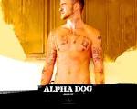 Alpha Dog