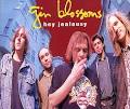Image The Gin Blossoms Mixtape   New Picture