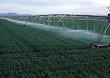 Irrigation - Wikipedia, the free encyclopedia