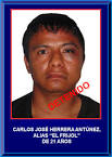 Carlos José Herrera Antúnez | Acapulco Zona Segura - carlos-josc3a9-herrera-antc3banez