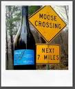 Anne Amie Vineyards, Carlton Oregon: These Green Mountains