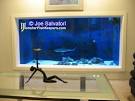 Building a 1700 gallon SHARK TANK by black tip