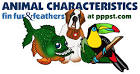 Animal Characteristics - FREE Presentations in PowerPoint format ...