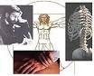Chiropractic - Wikipedia, the free encyclopedia
