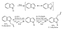 400px-Indole_anion_reactions.png