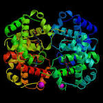 Protein Data Bank Archives 5000th Molecule Structure 