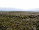 Possible sheepfold on Big Law. Three circular features in this area are - via Daymix