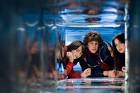 UNACCOMPANIED MINORS - Paul Feig, Dyllan Christopher, Tyler James ...
