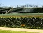 Wrigley Field: Beyond the Ivy