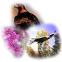 Fauna y Flora