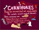 Carnivores - Kid's Corner - Sheppard Software