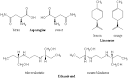 SparkNotes: Organic Chemistry: Stereoisomers: Racemic Mixtures and ...