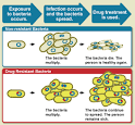 What is Drug Resistance?