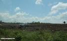 Cleared forest land in Belize - Belize